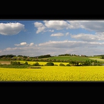 --Žlutá vysočina--