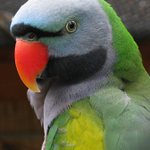 United Colours of Nature