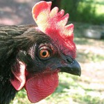 ..pohled do prázdna...