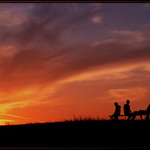 Vysoké nebe nad hlavou...