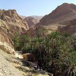 Horská oáza na Sahaře