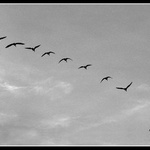 Tak za nějakej čásek nashle..