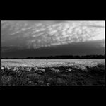 <B>[: basic feeling :]</b>