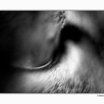 ...zázrak stvoření...