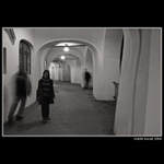 ti druzí (the others)...