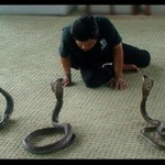 Tváří v tvář osudu