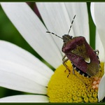 tak a je "zaděláno" ...;o)