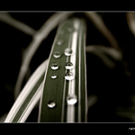 raindrops