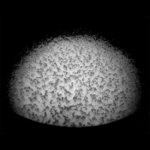 co to jen může být?