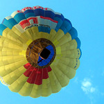 Kytka Balonofka