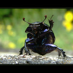 Tak čau a někdy příště.