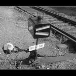 <font color=black><b>---vexle---</b></font>