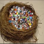 Všichni z hnízda ven a FOTIT !