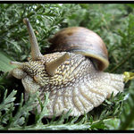 Běh na dlouhou trať :))