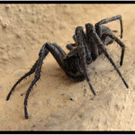 Pro štěstí..... :)