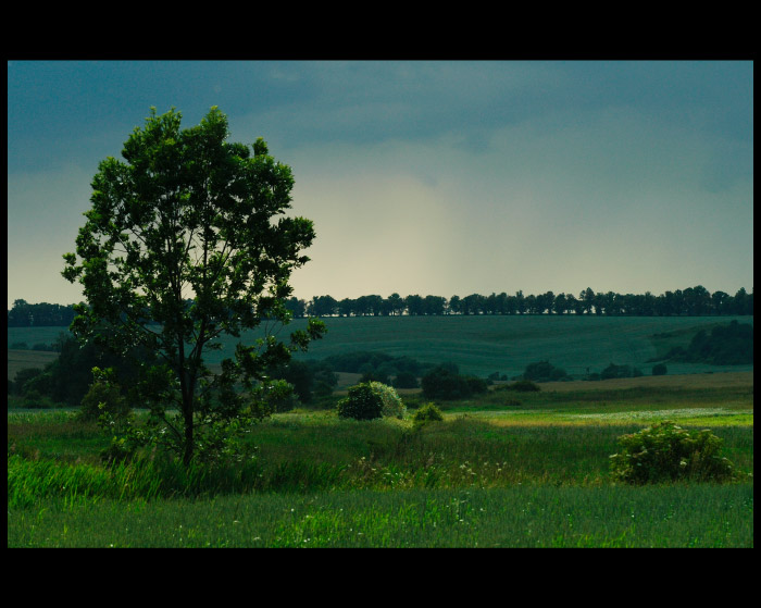 Strom