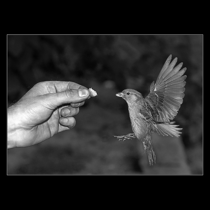 <b>* Stačí překonat strach *</b>