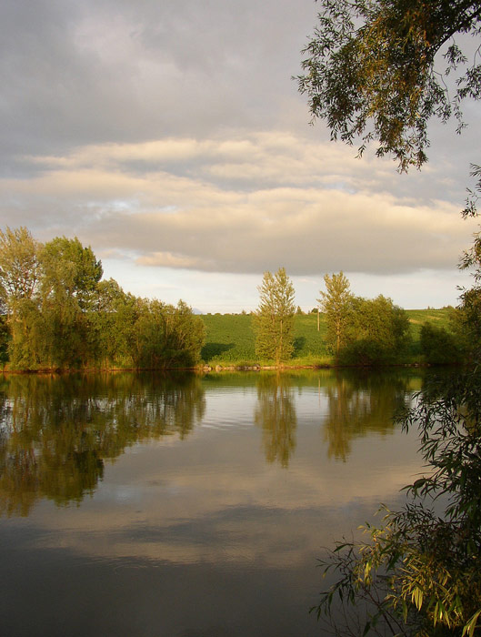 Rybník Balaton