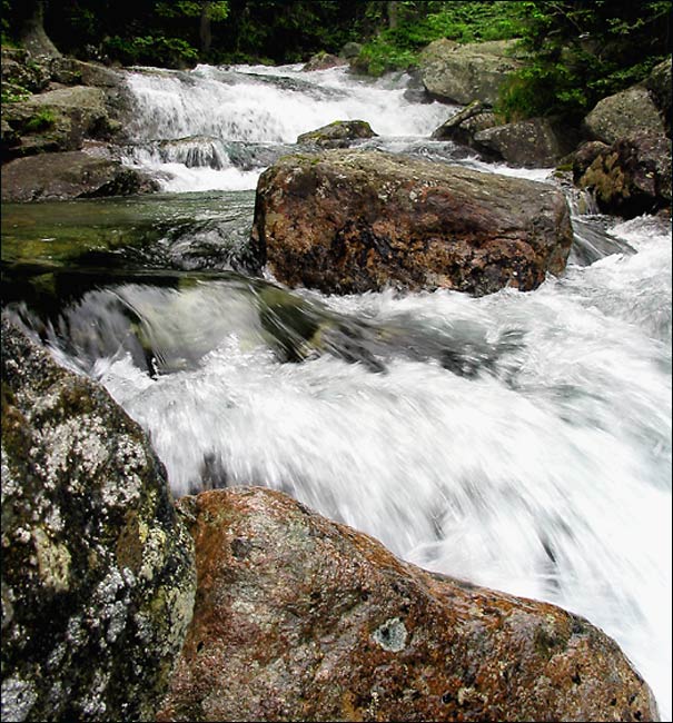 Studenovodský potok