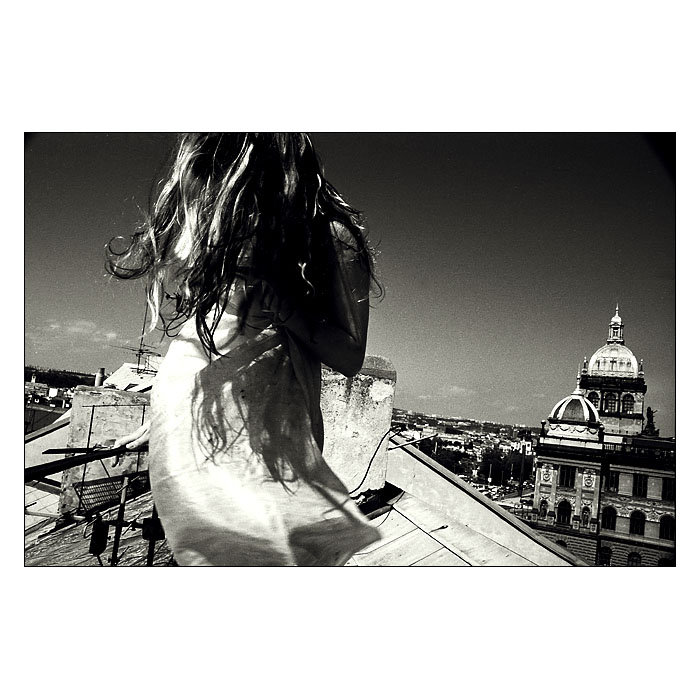 Kočka na rozpálené plechové střeše