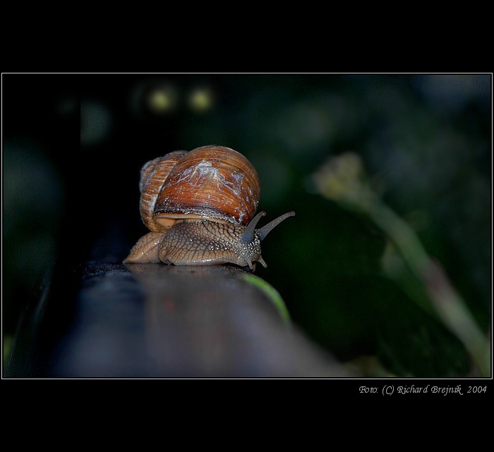 <B>Ho ho honem pryč, už jede!!! </B>