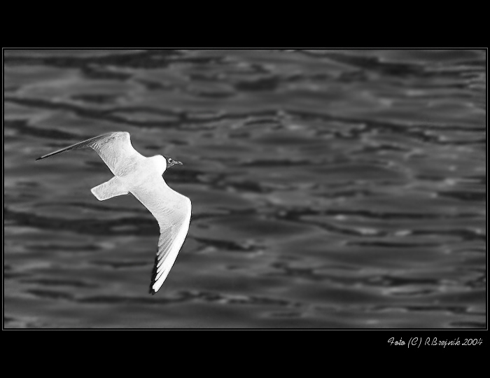 <B>TAK SE TU VŠICHNI MĚJTE PĚKNĚ I ...</B>