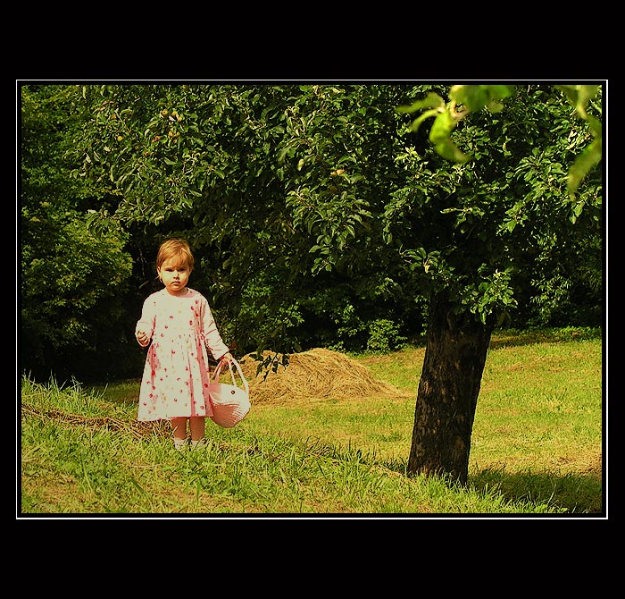 Strážnické imprese V