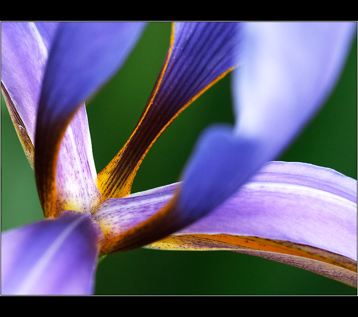 □□□ tobogán, zrychlený dech