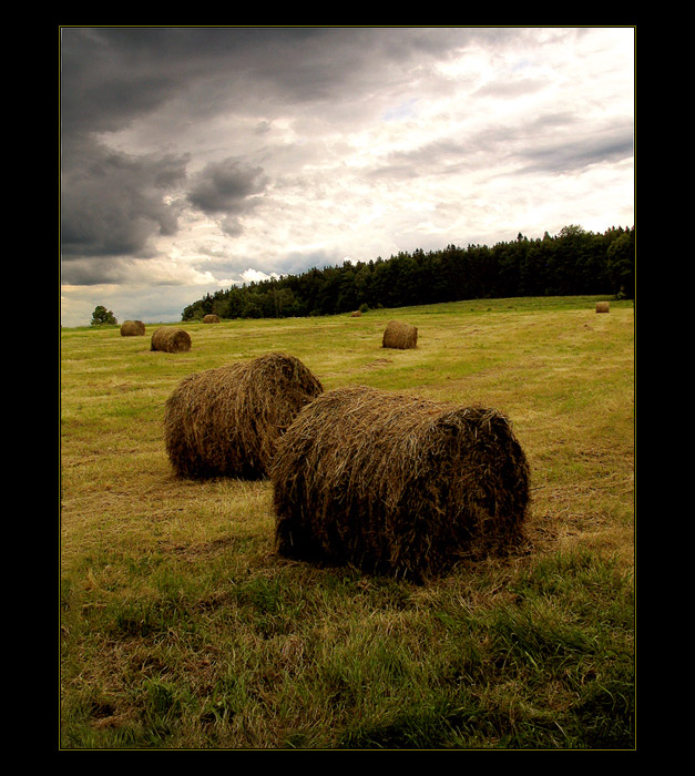 <b> Uklidňující</b>