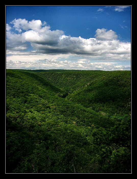 <b>..:Národní park Podyjí I:..</b>