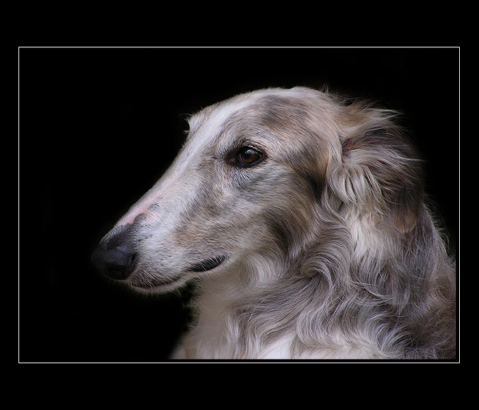 Pohledy I.