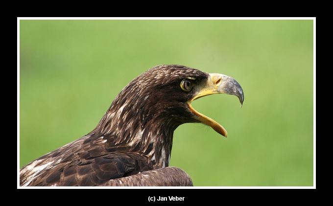 Musíte tady tak řvát?!