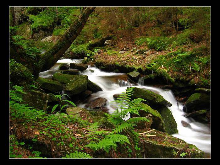 Šumava-Popelný potok