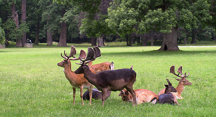 Zámecký park
