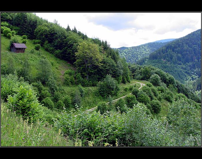 Rychlé občerstvení