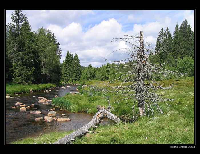 Roklanský potok - Šumava