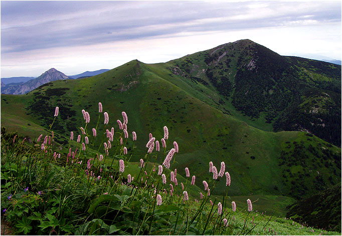 malofatranská