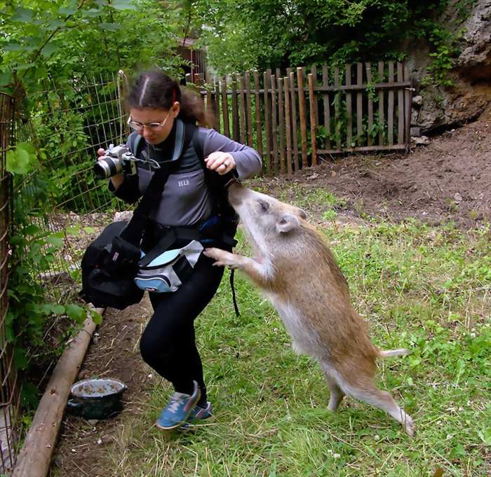 <b>Fotograf v ohrožení</b>