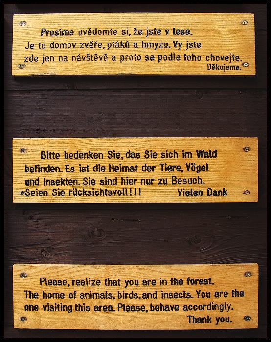 Náhoda, nebo záměr?