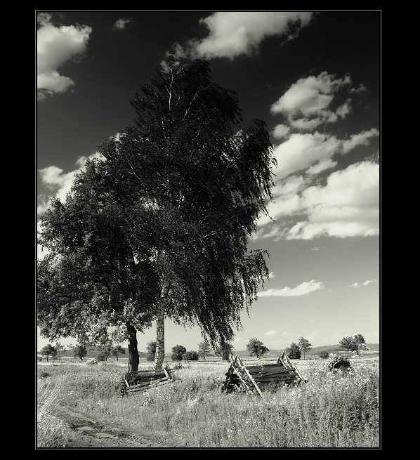 ..:: Ve větru II. ::..