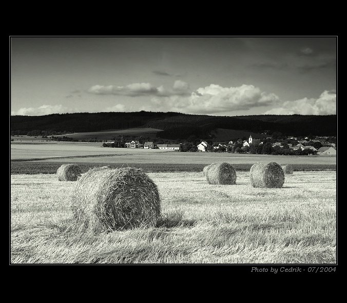 Páteční balíkofka :o)