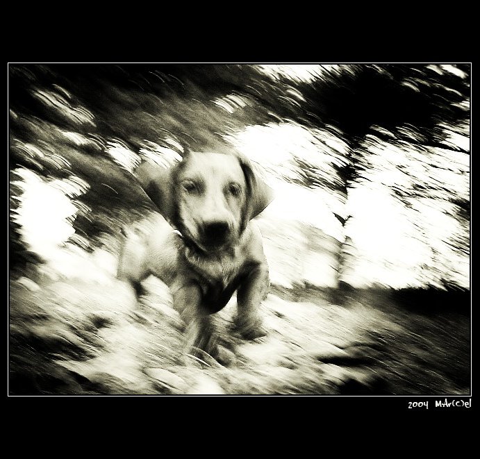 ..:M..::..O..::..V..::..E:..