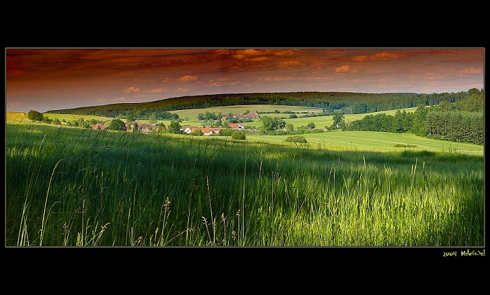 ... pozdní letní odpoledne ...