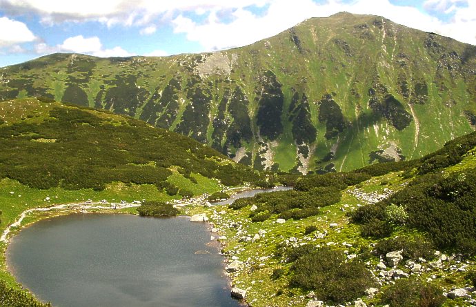 Roháče