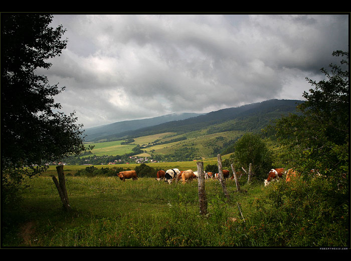 Malířskou paletou 16.století