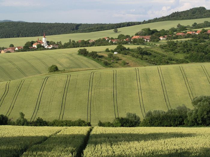 Nahoru a dolu