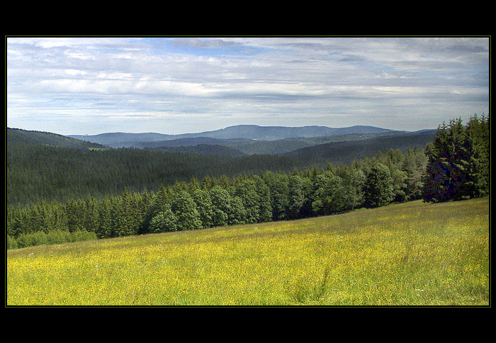 Šumava