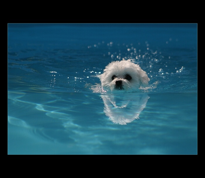 ...teď se učím plavat, ...