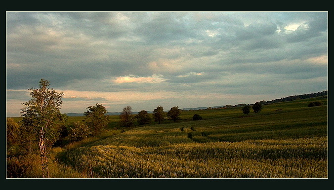 Podvečer u N. Jičína<B><BR>