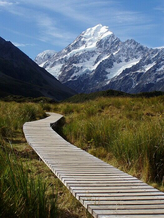Cesta k Mt. Cooku